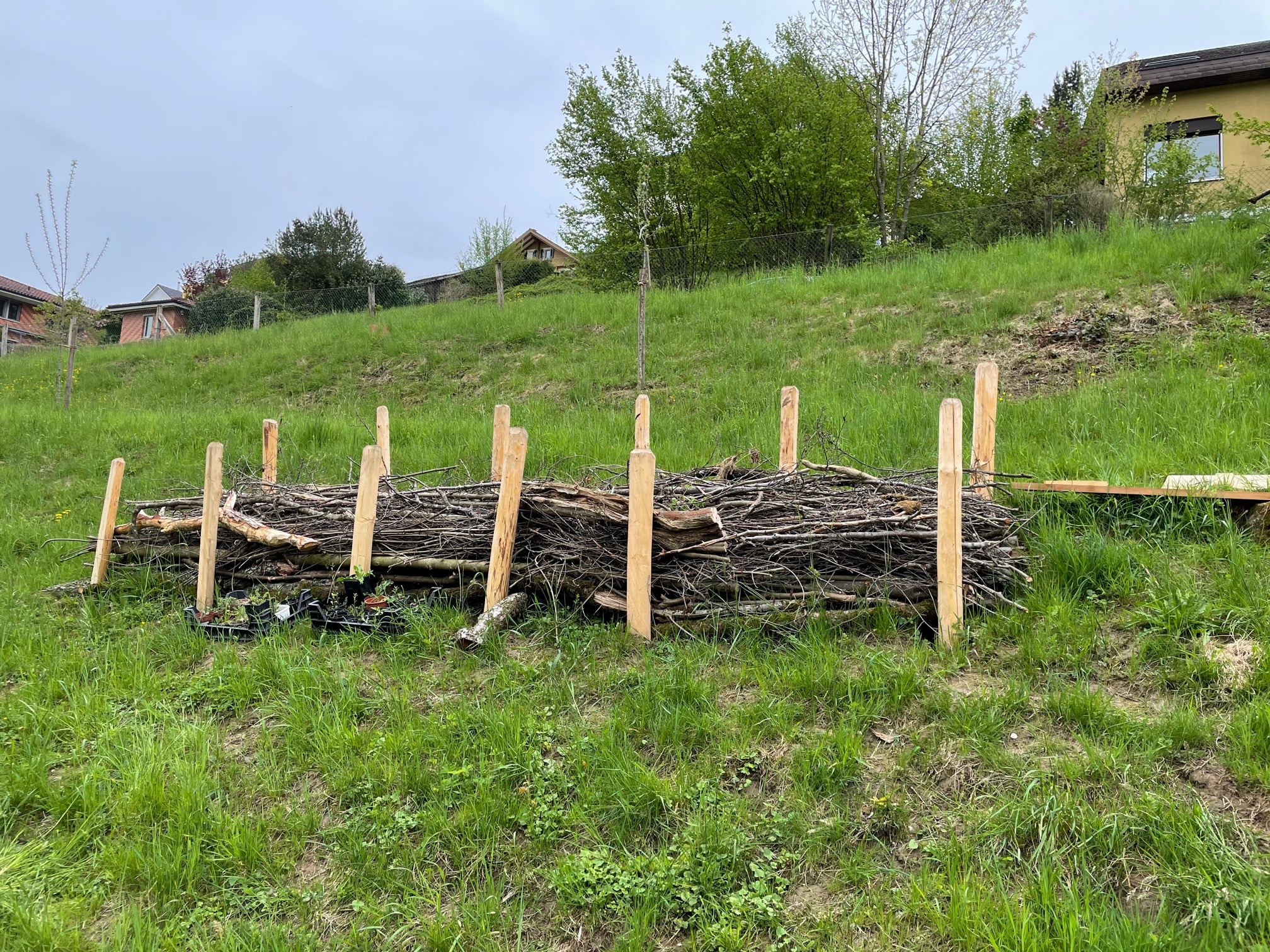 Die Totholzwand bietet Tieren wertvollen Lebensraum und Schutz. 